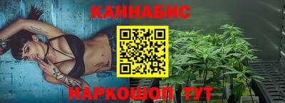 индика Пушкино