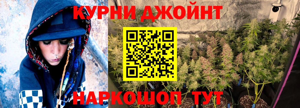 Канабис планчик Сафоново